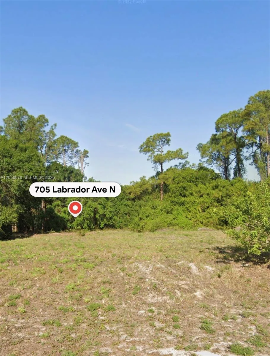 705 LABRADOR AVE N, Lehigh Acres, FL 33971