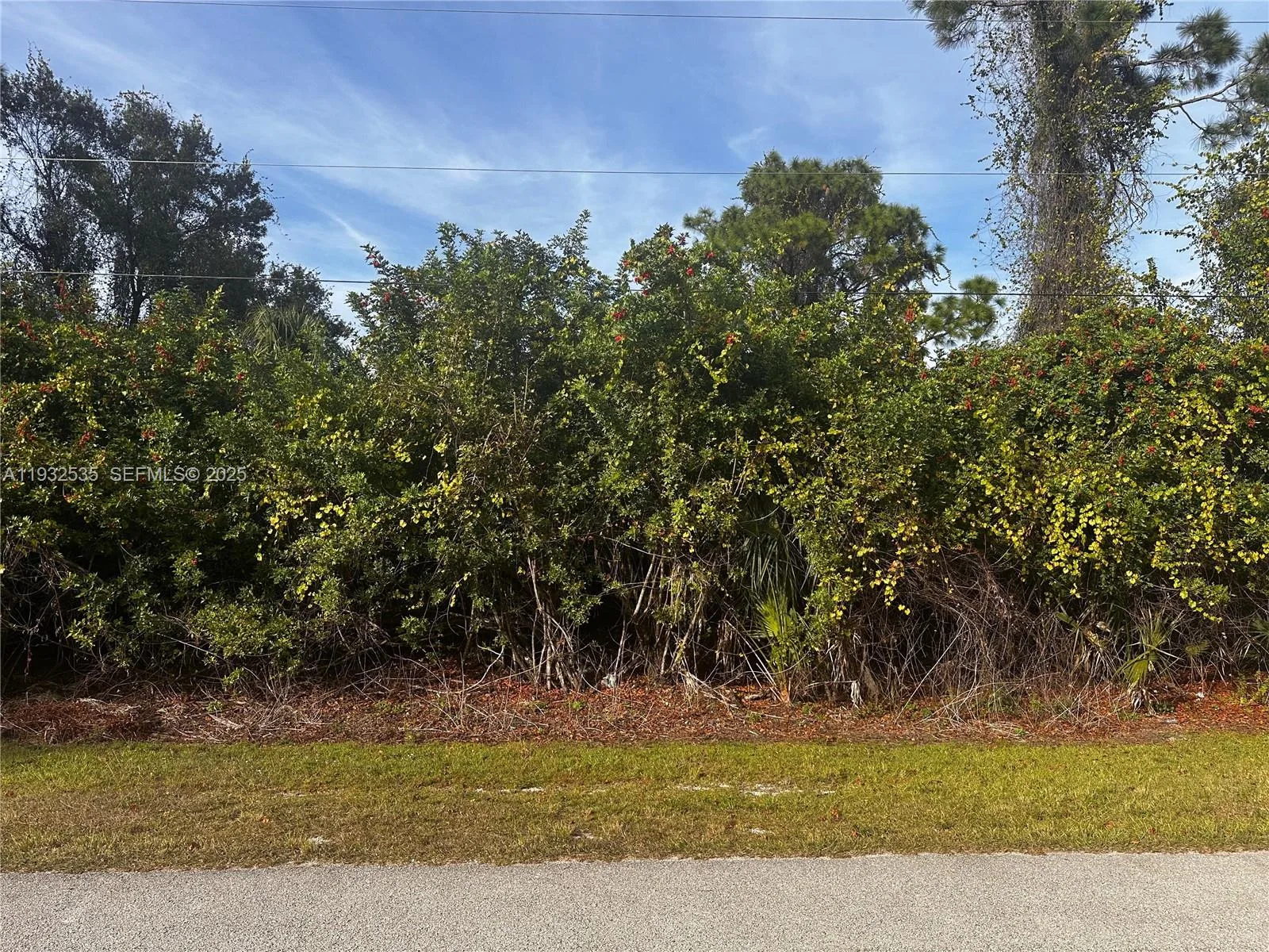 3720 Tallman, Fort Myers, FL 33905 photo 4