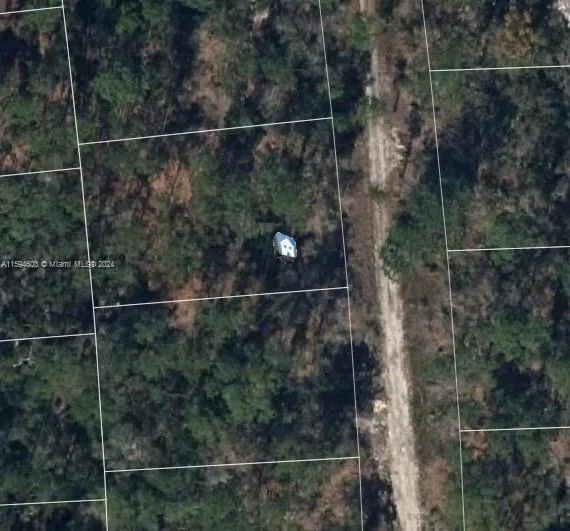 256 Sunnyside Dr, Lake Placid, FL 33852
