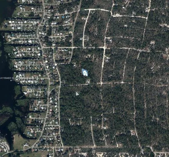256 Sunnyside Dr, Lake Placid, FL 33852 photo 4