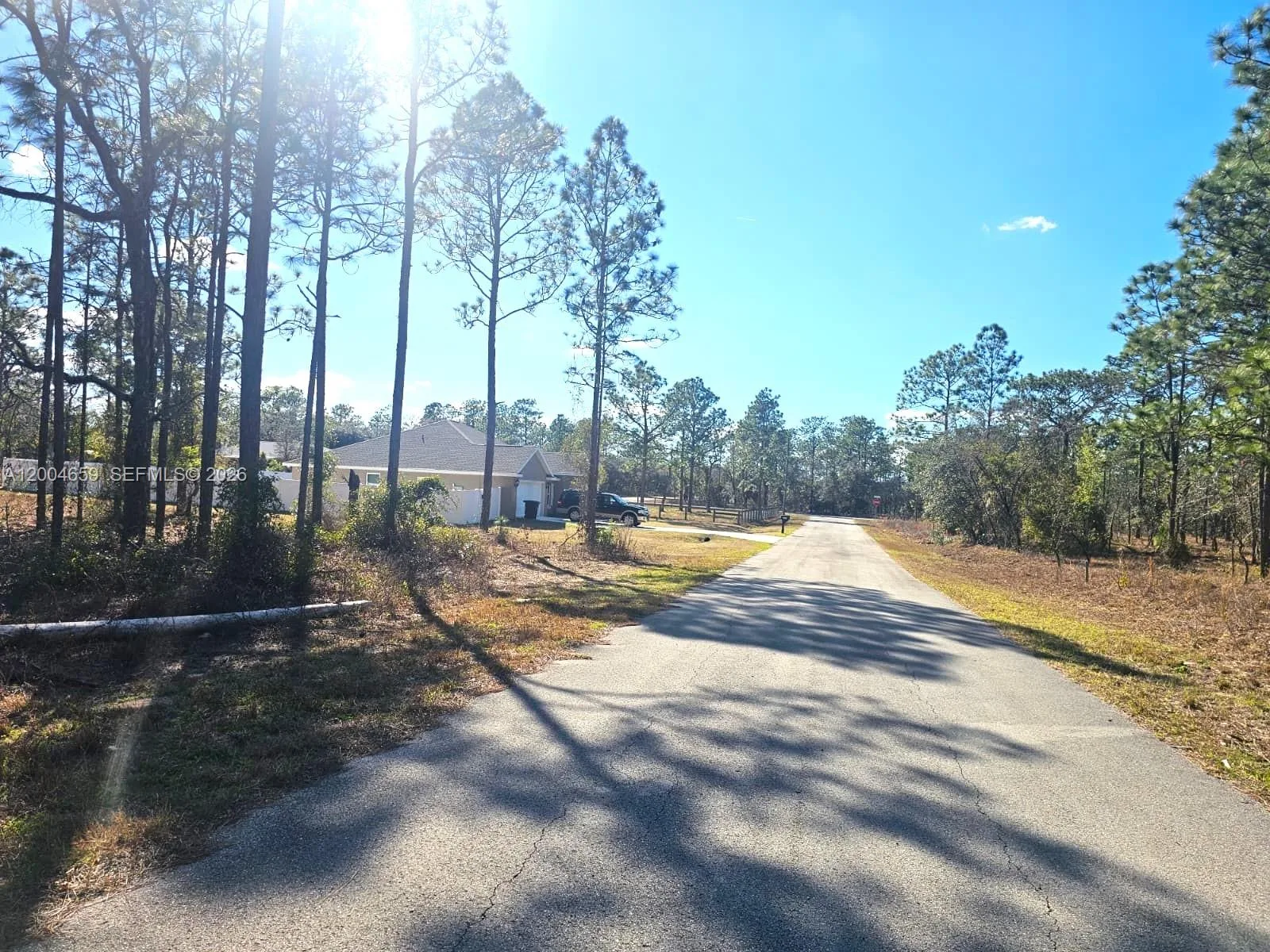NO Situs NW Shamrock AVE, Other City - In The State Of Florida, FL 34431 photo 2