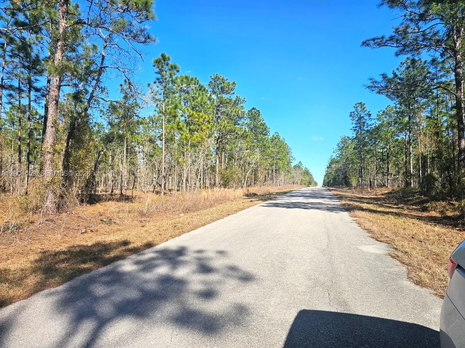 NO Situs NW Shamrock AVE, Other City - In The State Of Florida, FL 34431 photo 3