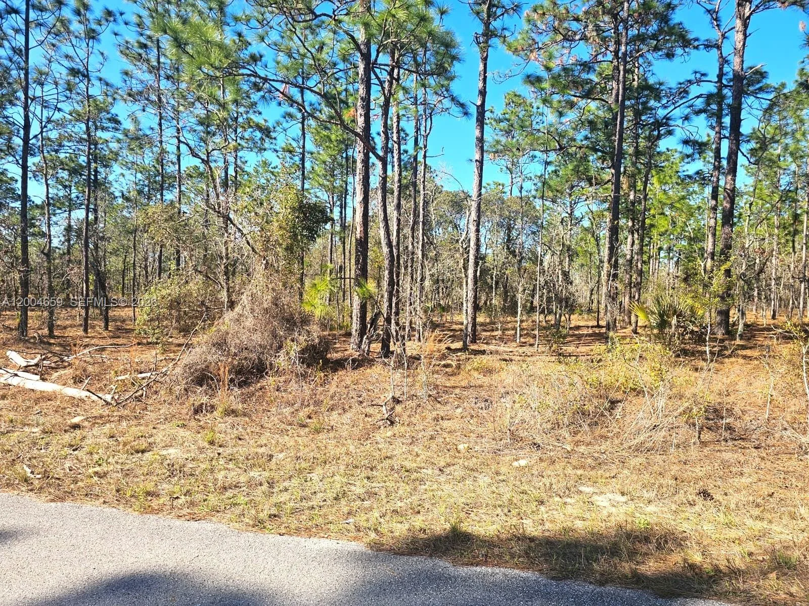 NO Situs NW Shamrock AVE, Other City - In The State Of Florida, FL 34431 photo 4