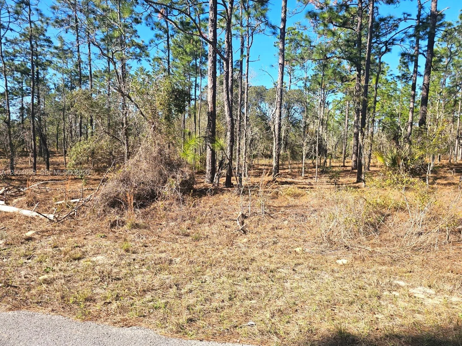 NO Situs NW Shamrock AVE, Other City - In The State Of Florida, FL 34431 photo 5