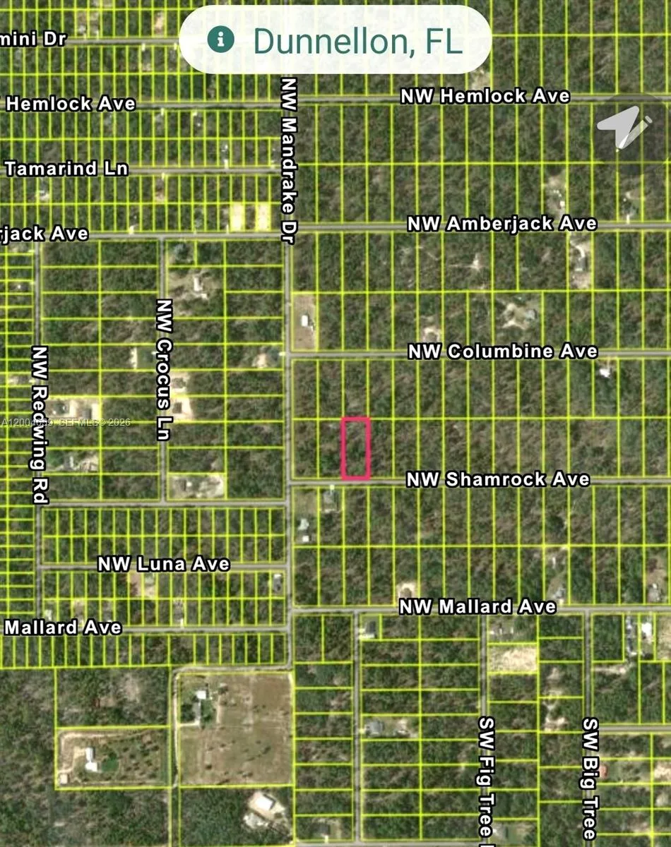 NO Situs NW Shamrock AVE, Other City - In The State Of Florida, FL 34431 photo 6