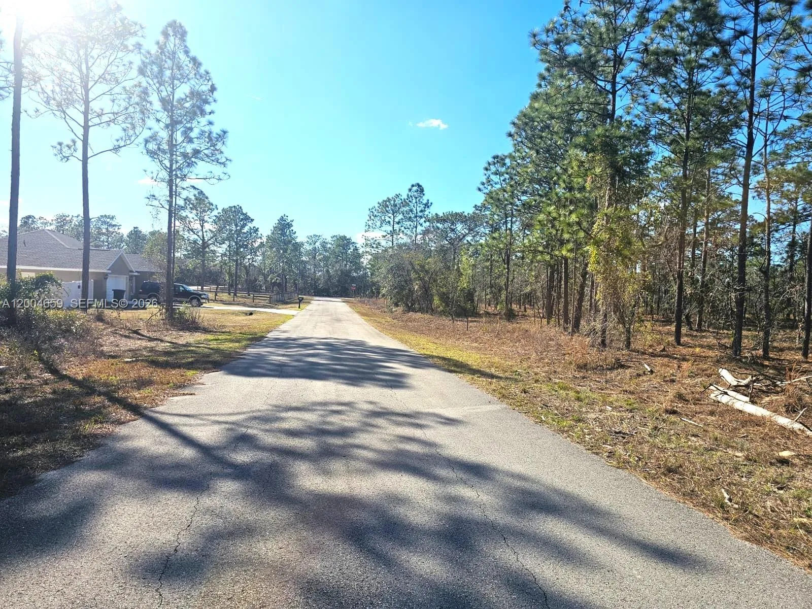 NO Situs NW Shamrock AVE, Other City - In The State Of Florida, FL 34431 photo 7