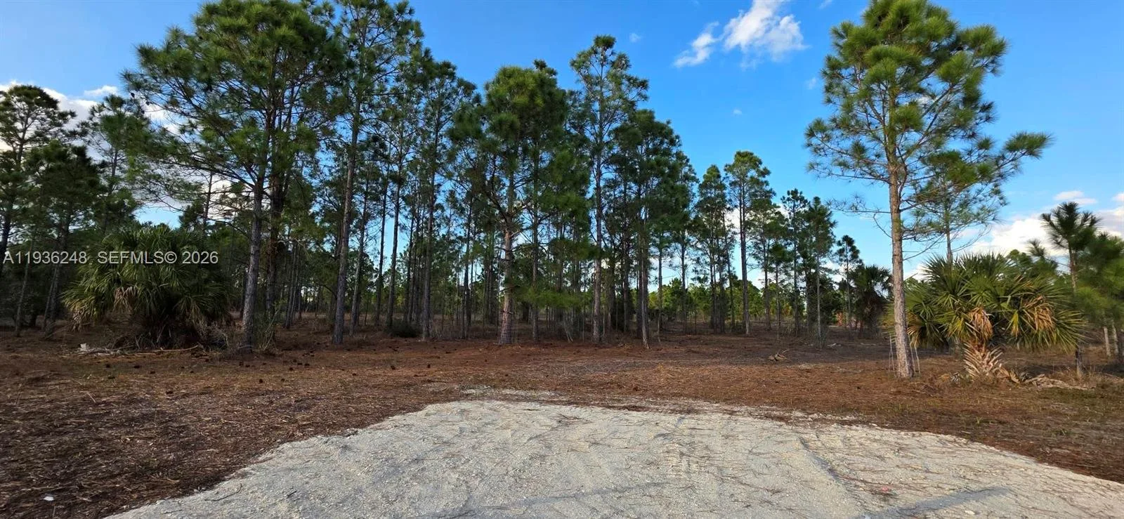 17923 NW 298 st, Okeechobee, FL 34972 photo 2
