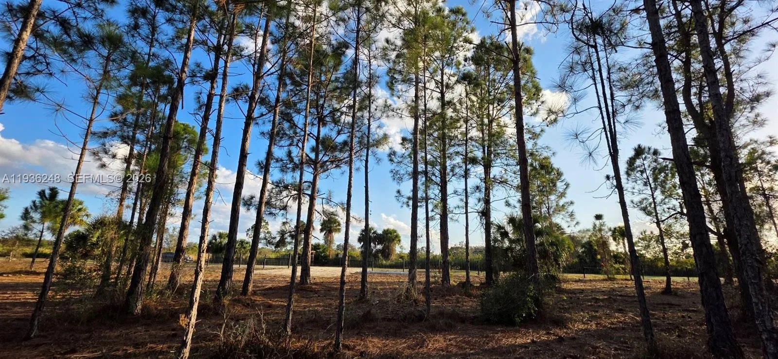 17923 NW 298 st, Okeechobee, FL 34972 photo 3