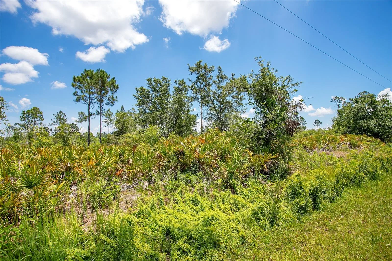 4000 Gerona, Sebring, FL 33872 photo 4