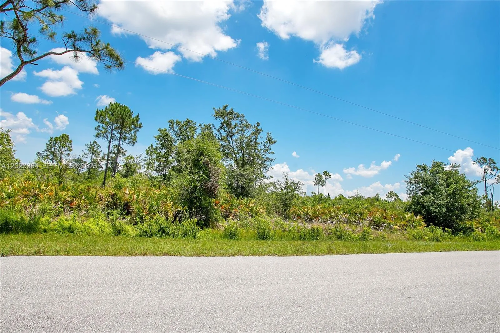4000 Gerona, Sebring, FL 33872 photo 5