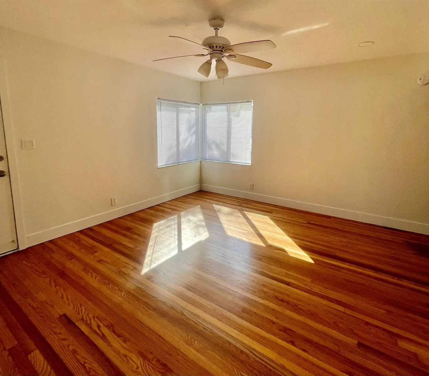 2425 Pierce Street, Hollywood, FL 33020 photo 6