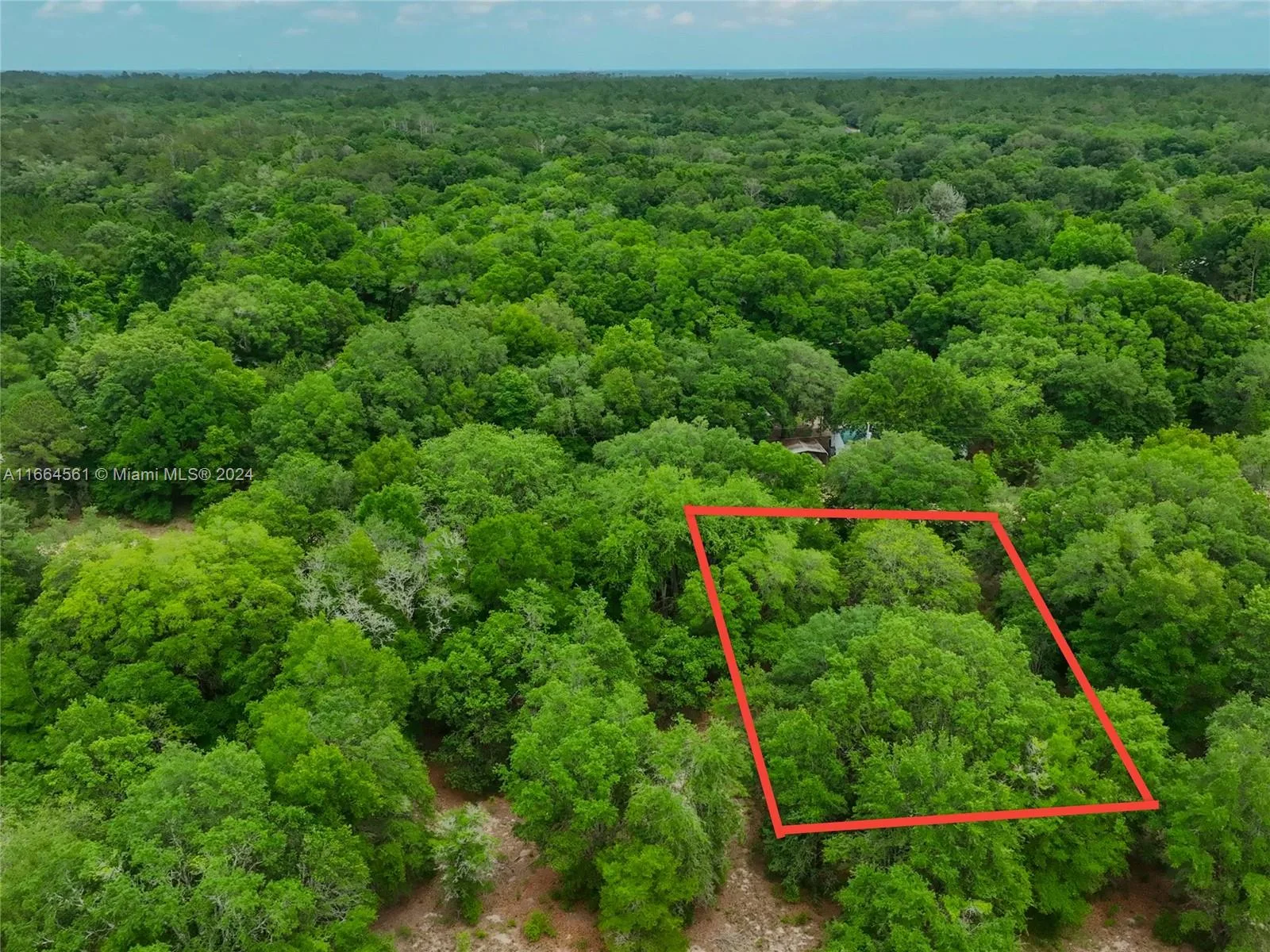 217 Amsterdam Street, Other City - In The State Of Florida, FL 32148 photo 2