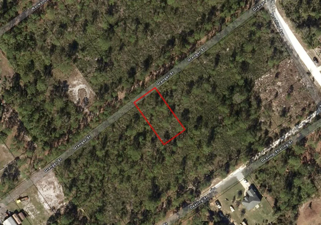 1017 Granger Street, Lake Placid, FL 33852 photo 3