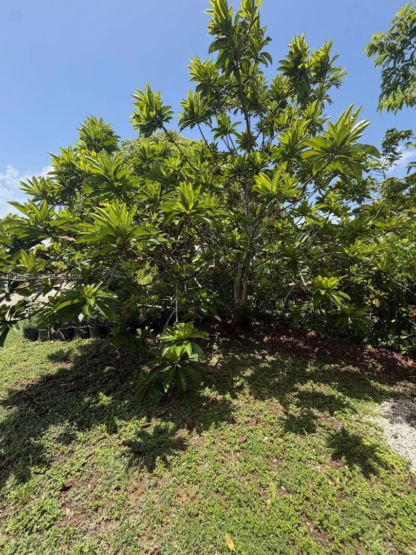 20791 SW 240th St, Homestead, FL 33031 photo 10
