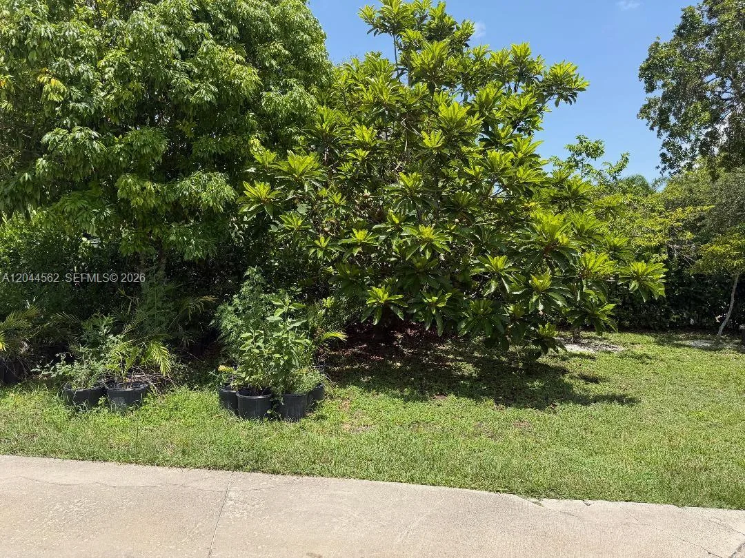 20791 SW 240th St, Homestead, FL 33031 photo 7