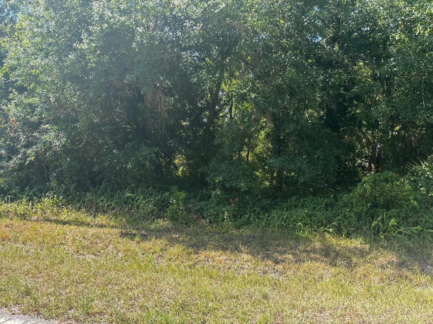 7732 NW 84th Court, Okeechobee, FL 34972 photo 2