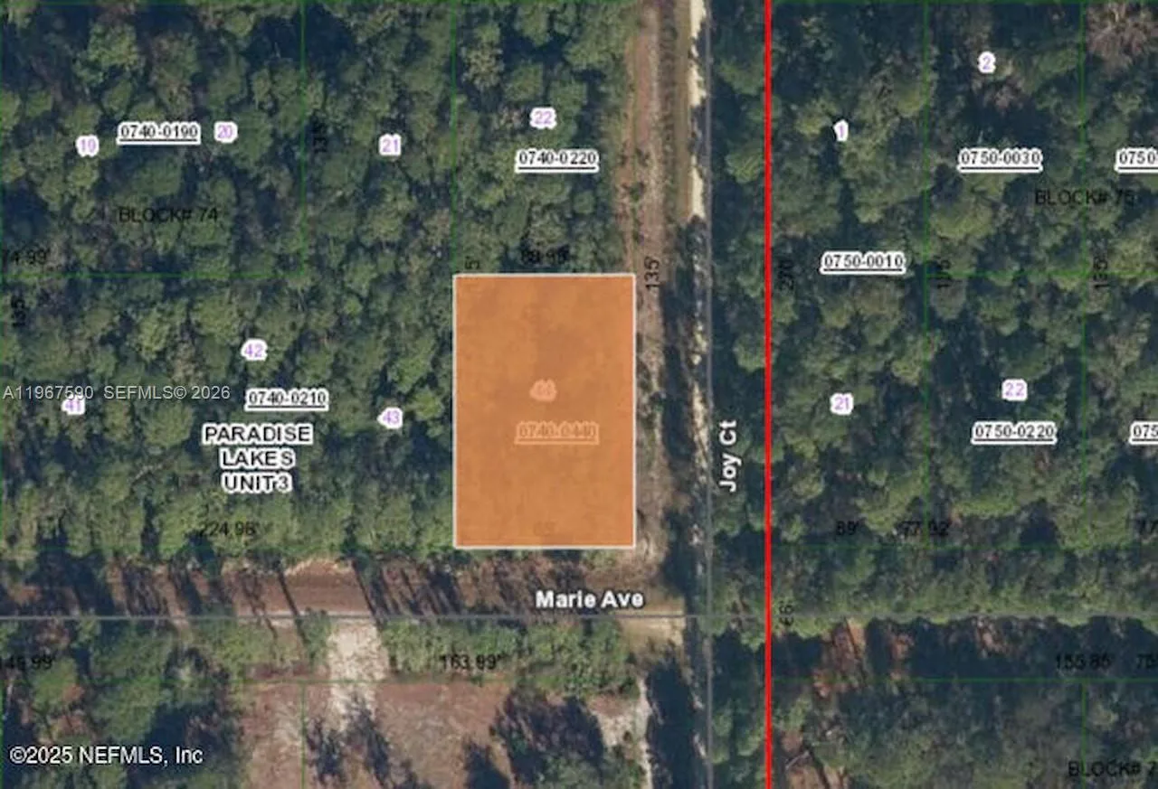 216 Marie Ave, Other City - In The State Of Florida, FL 32139