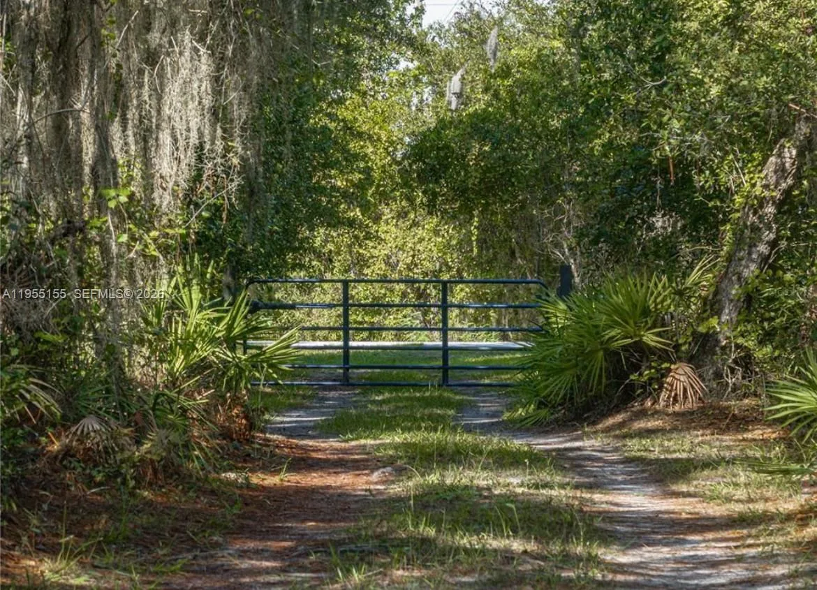 11330 Camp Mack Rd, Lake Wales, FL 33898 photo 3