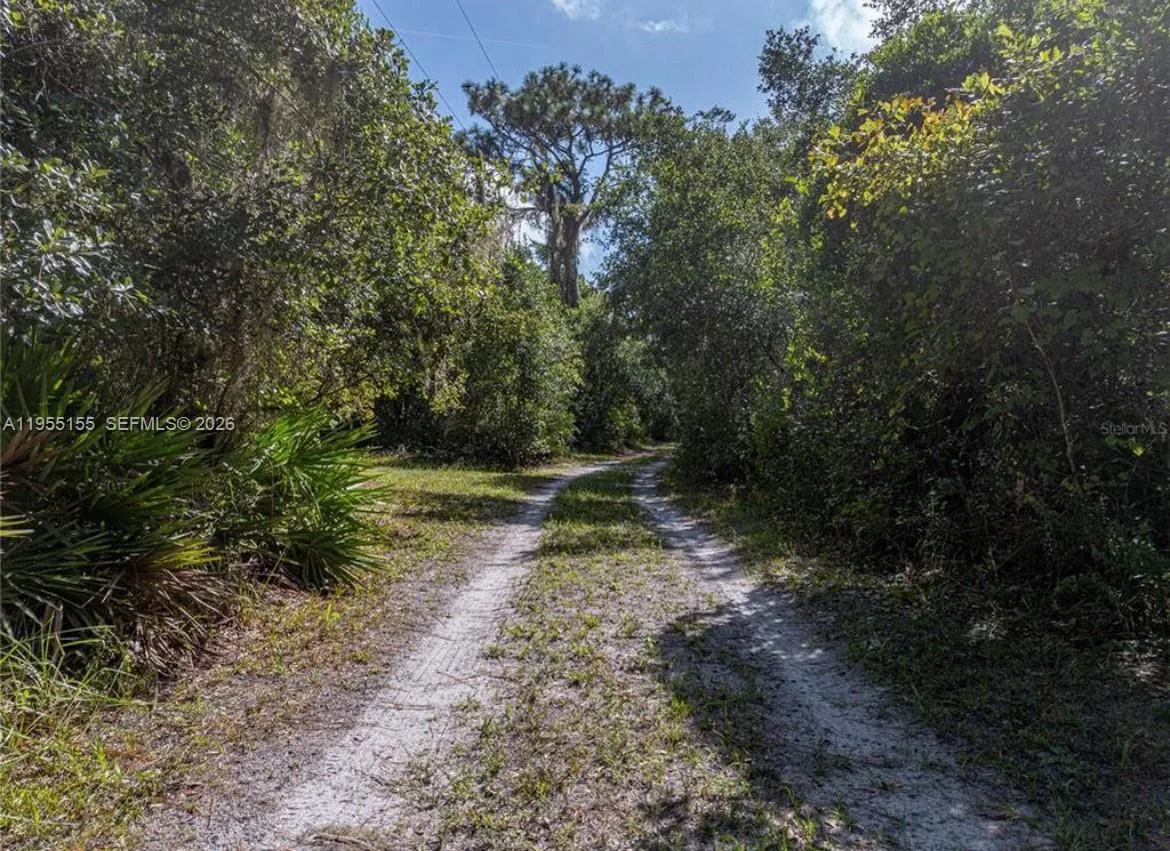 11330 Camp Mack Rd, Lake Wales, FL 33898 photo 4