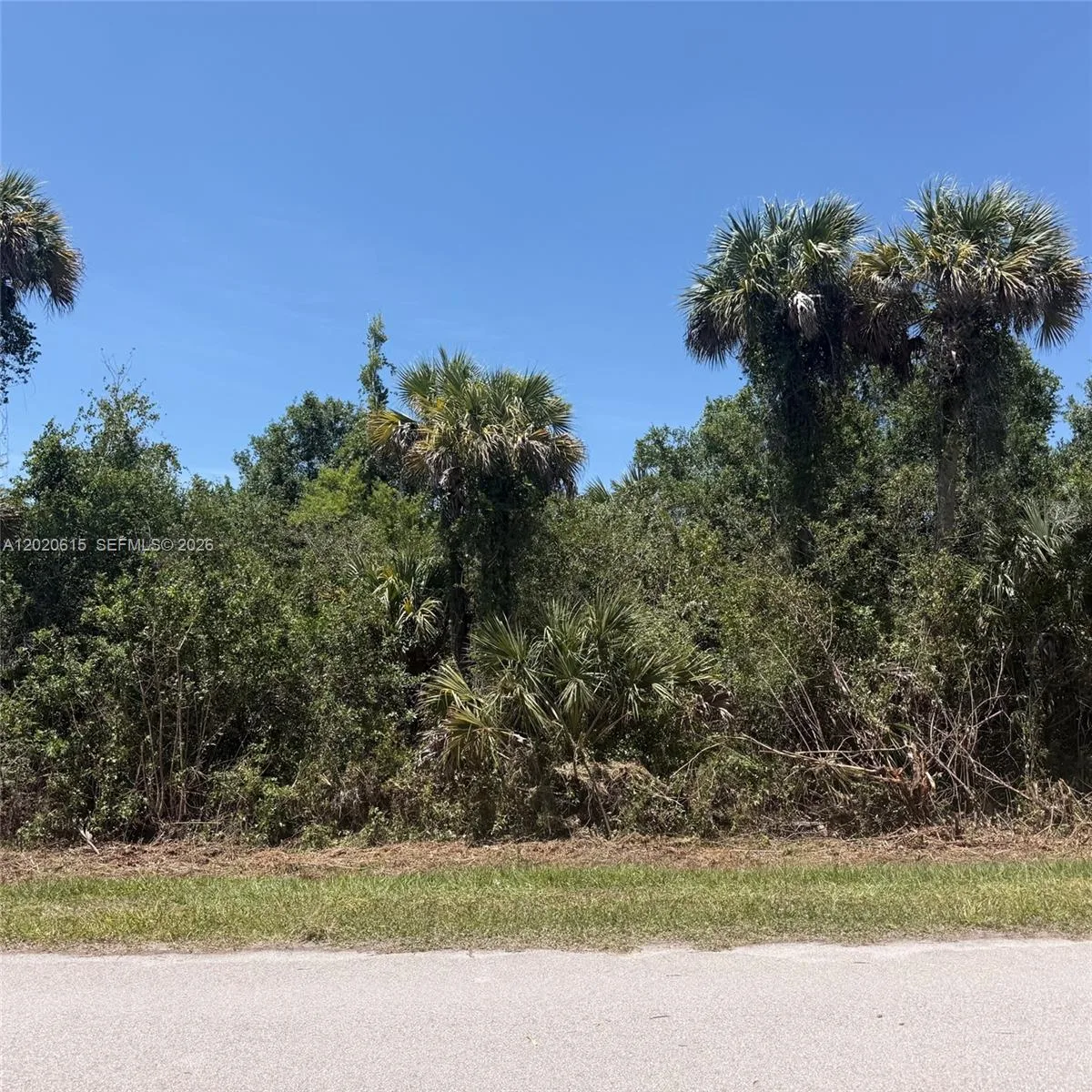 3811 SE 34 Ave, Naples, FL 34117 photo 3