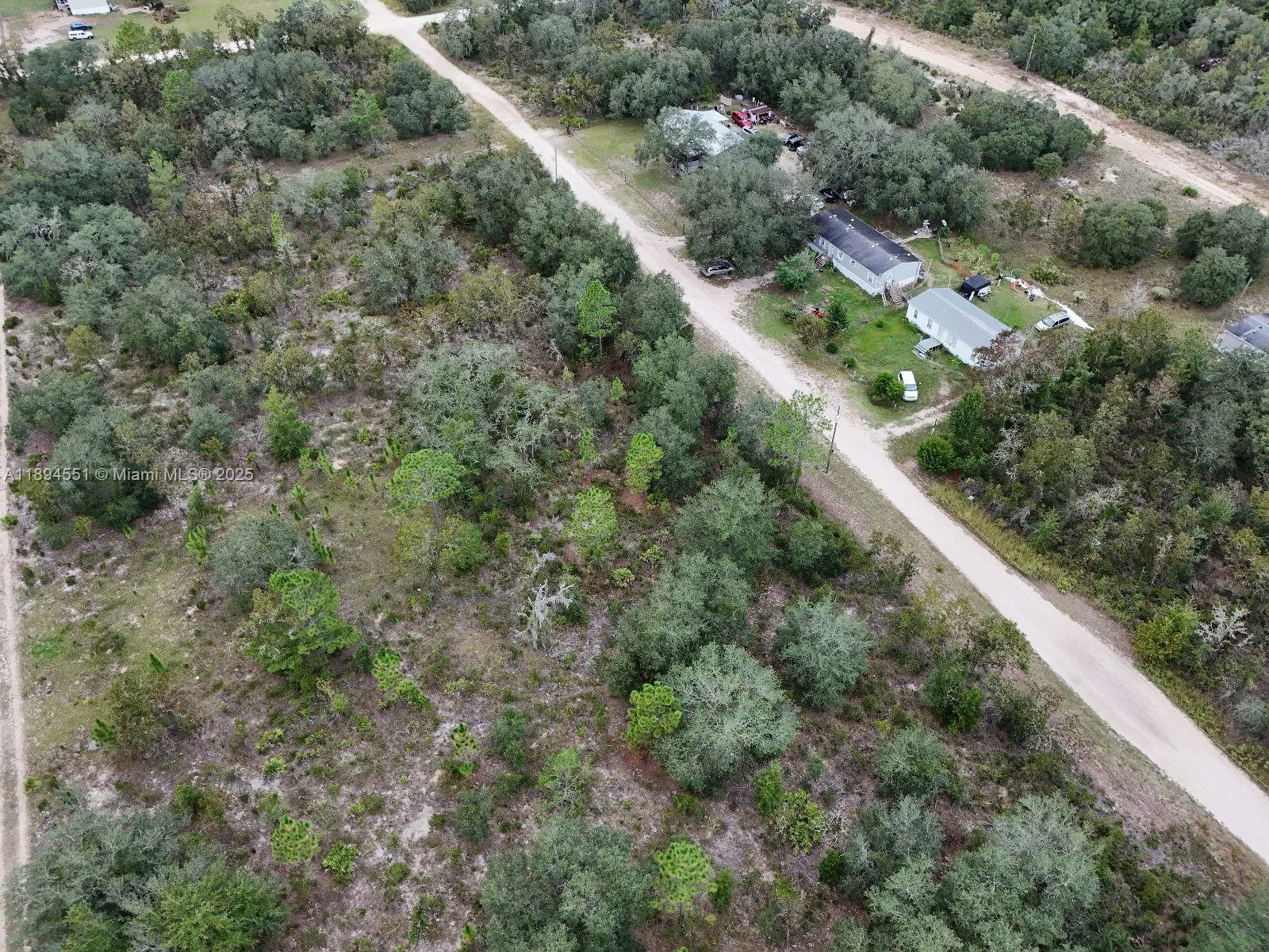 0 NE 62ND ST, Williston, FL 32696 photo 3