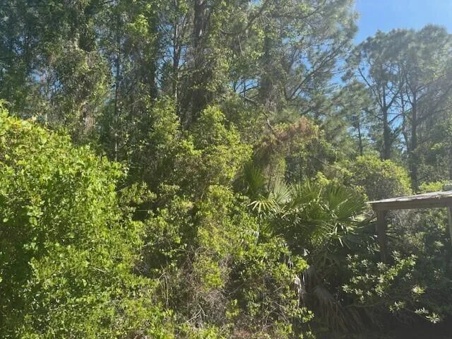 0 Golden Shores Blvd, Mims, FL