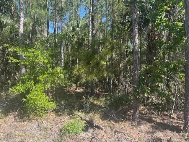 0 Golden Shores Blvd, Mims, FL photo 2