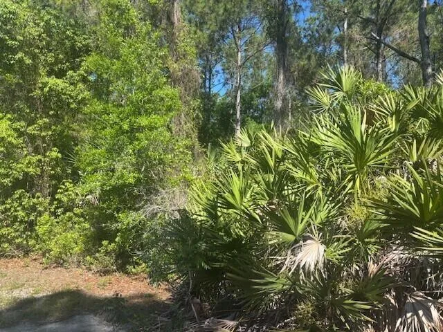 0 Golden Shores Blvd, Mims, FL photo 4