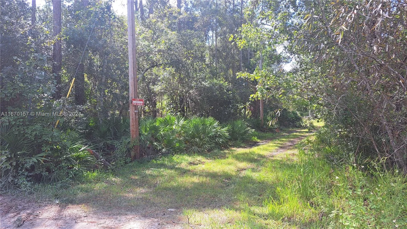 UNDETERMINED NE 42nd ST, Ocala, FL 34488 photo 3