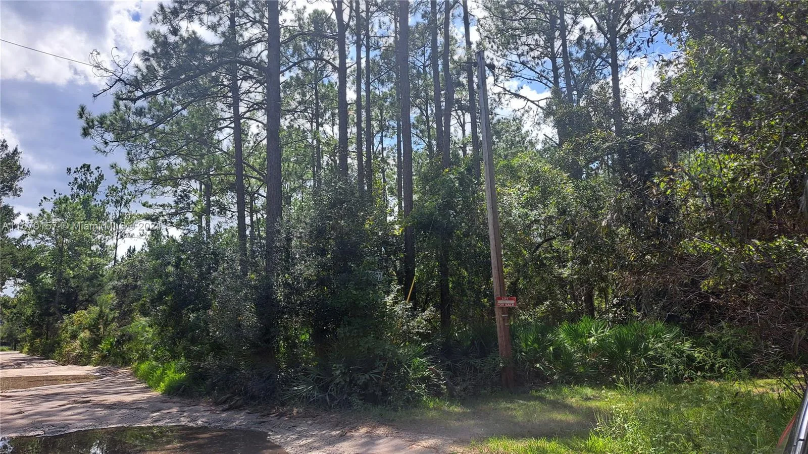 UNDETERMINED NE 42nd ST, Ocala, FL 34488 photo 4