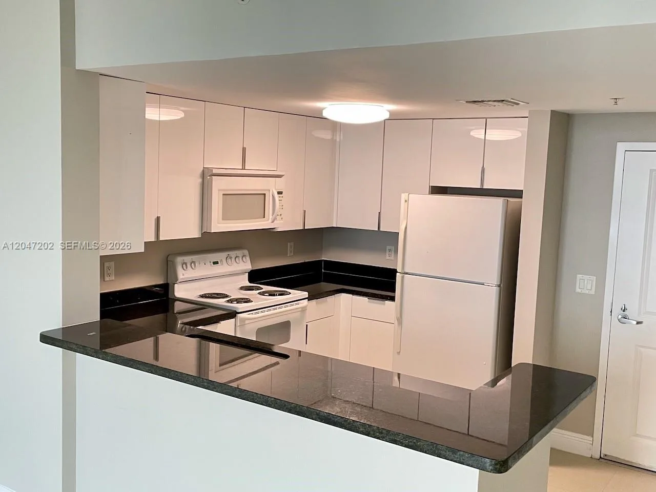 1250 S Miami Ave # 2111, Miami, FL 33130 photo 6