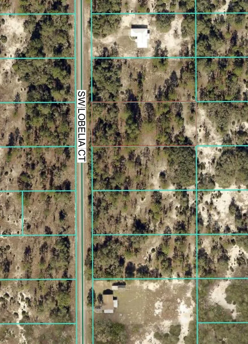 Tbd Lot 32 SW Lobelia Court, FL 34431