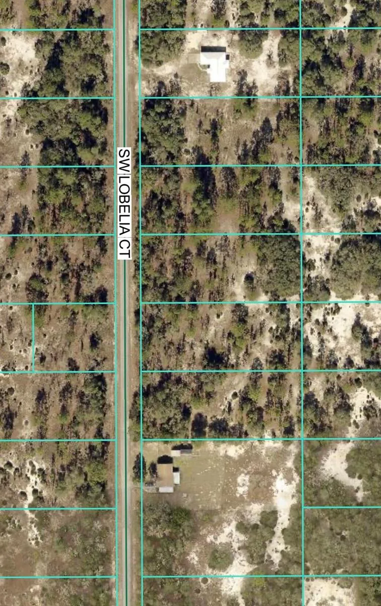 Tbd Lot 32 SW Lobelia Court, FL 34431 photo 2
