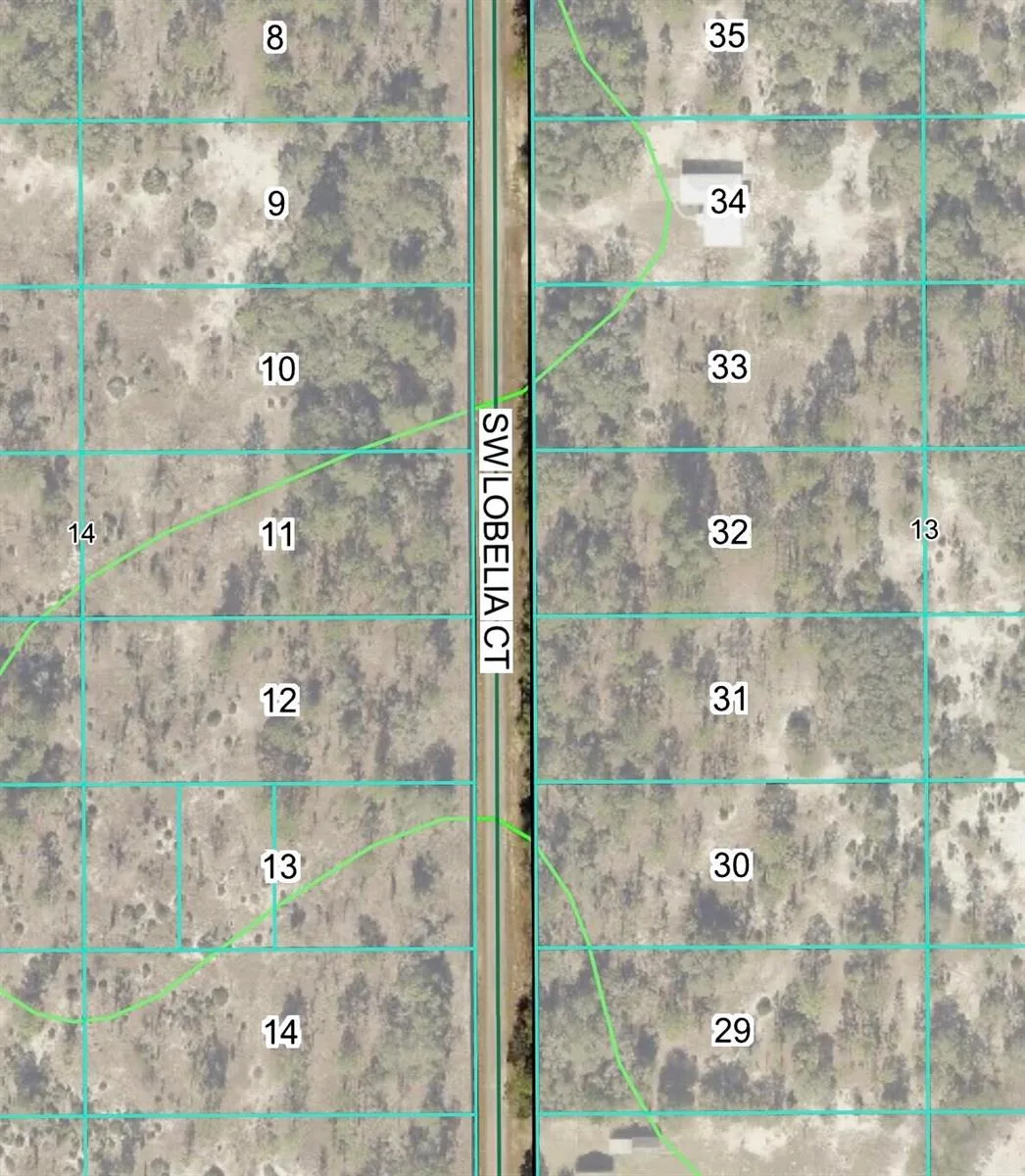Tbd Lot 32 SW Lobelia Court, FL 34431 photo 3