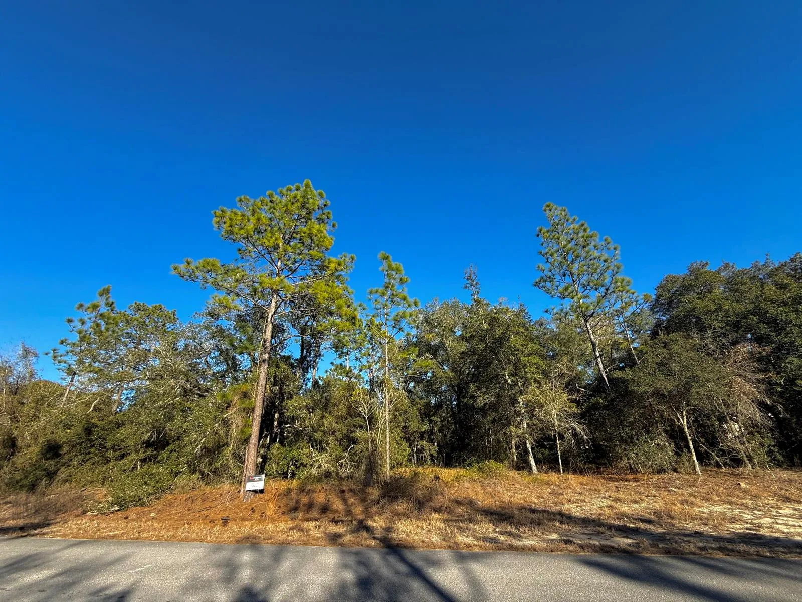 Tbd Lot 32 SW Lobelia Court, FL 34431 photo 5