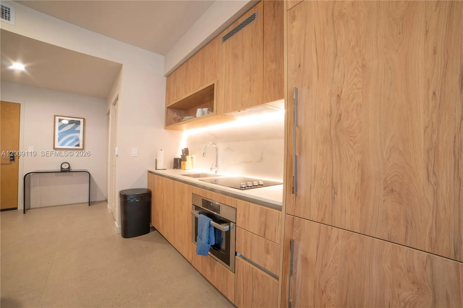 11 NE 6TH # 1104, Miami, FL 33132 photo 6