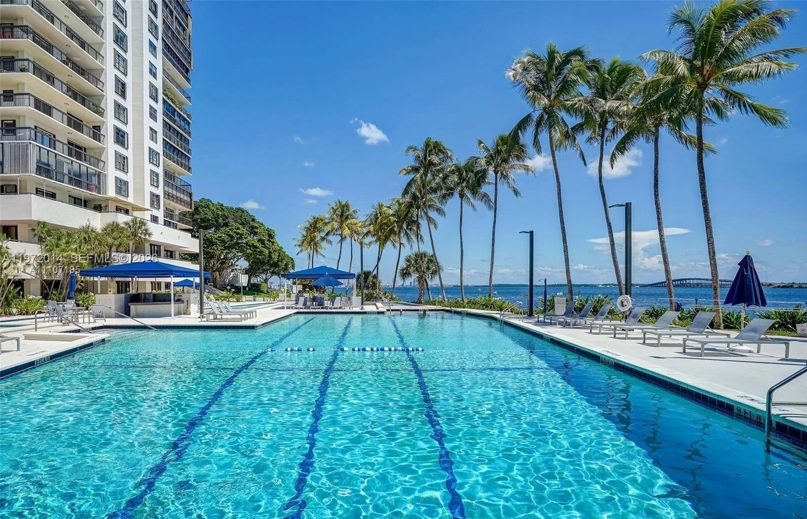 2333 Brickell Ave # 308, Miami, FL 33129 photo 5