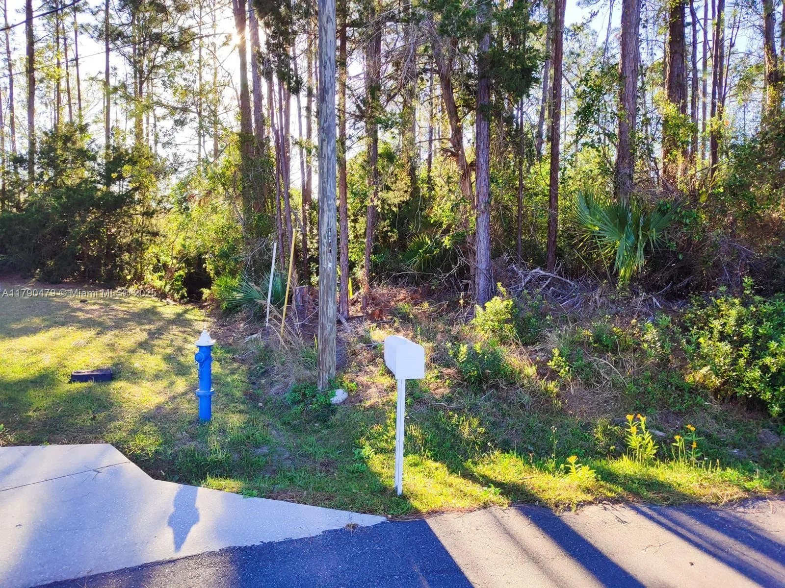 9 Sedan Pl, Palm Coast, FL 32164 photo 3