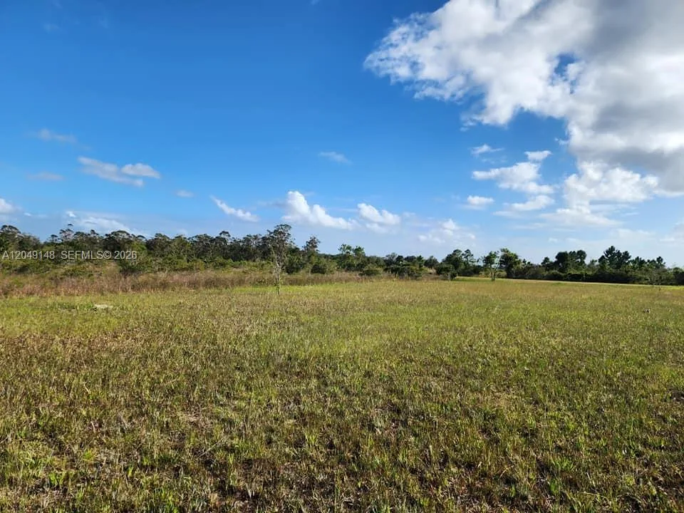 18717 NW 258 st, Okeechobee, FL 34972 photo 11