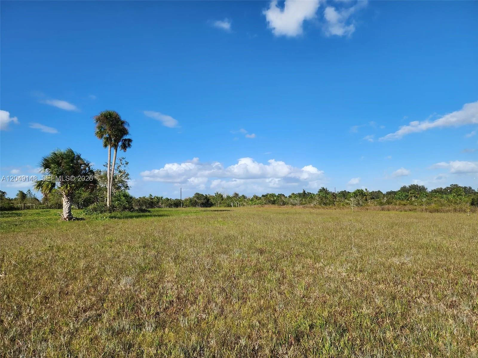 18717 NW 258 st, Okeechobee, FL 34972 photo 12