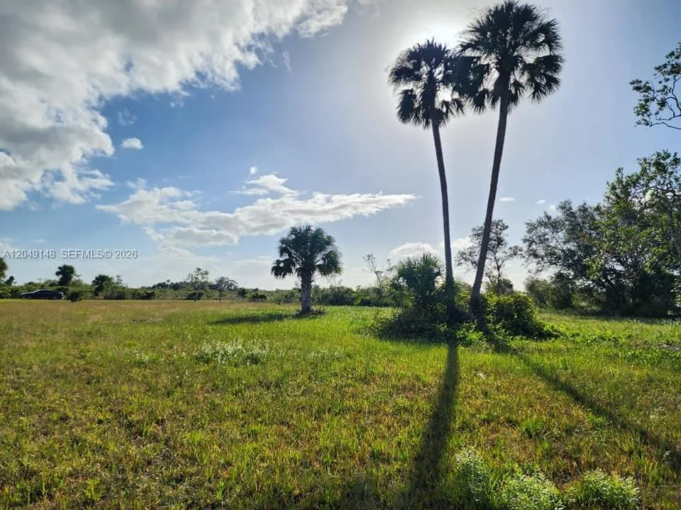 18717 NW 258 st, Okeechobee, FL 34972 photo 13