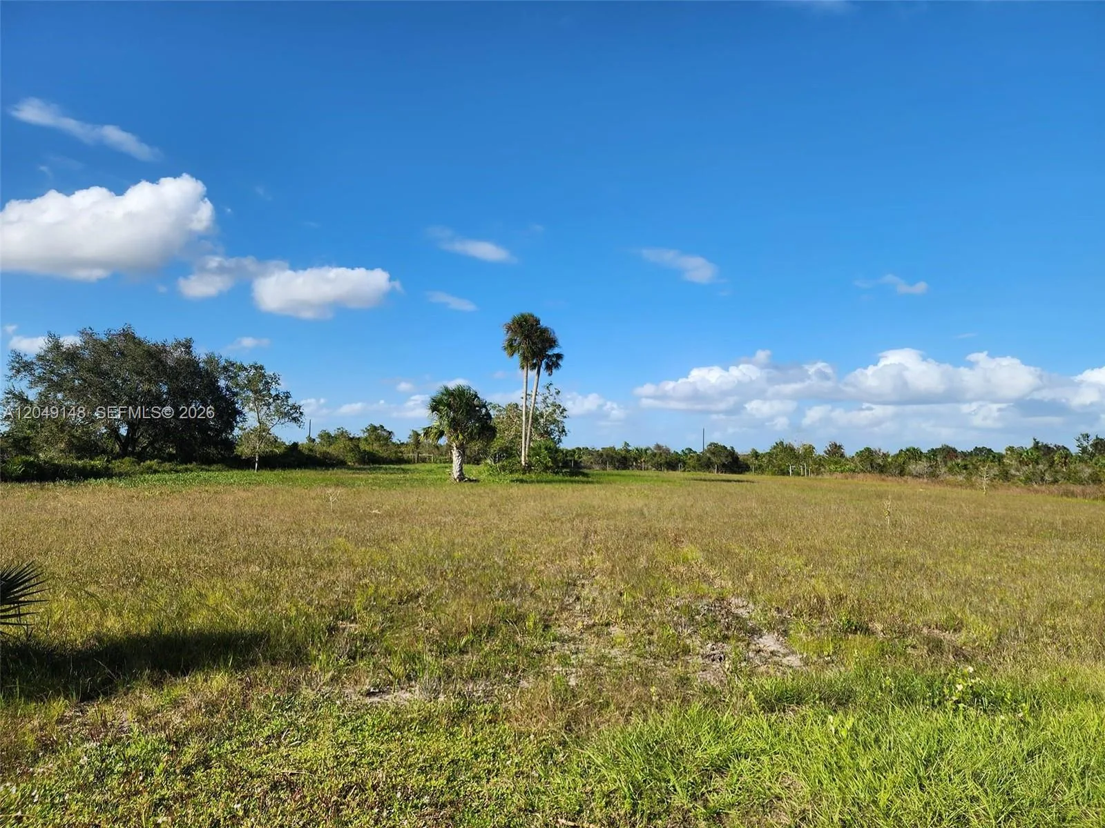 18717 NW 258 st, Okeechobee, FL 34972 photo 8