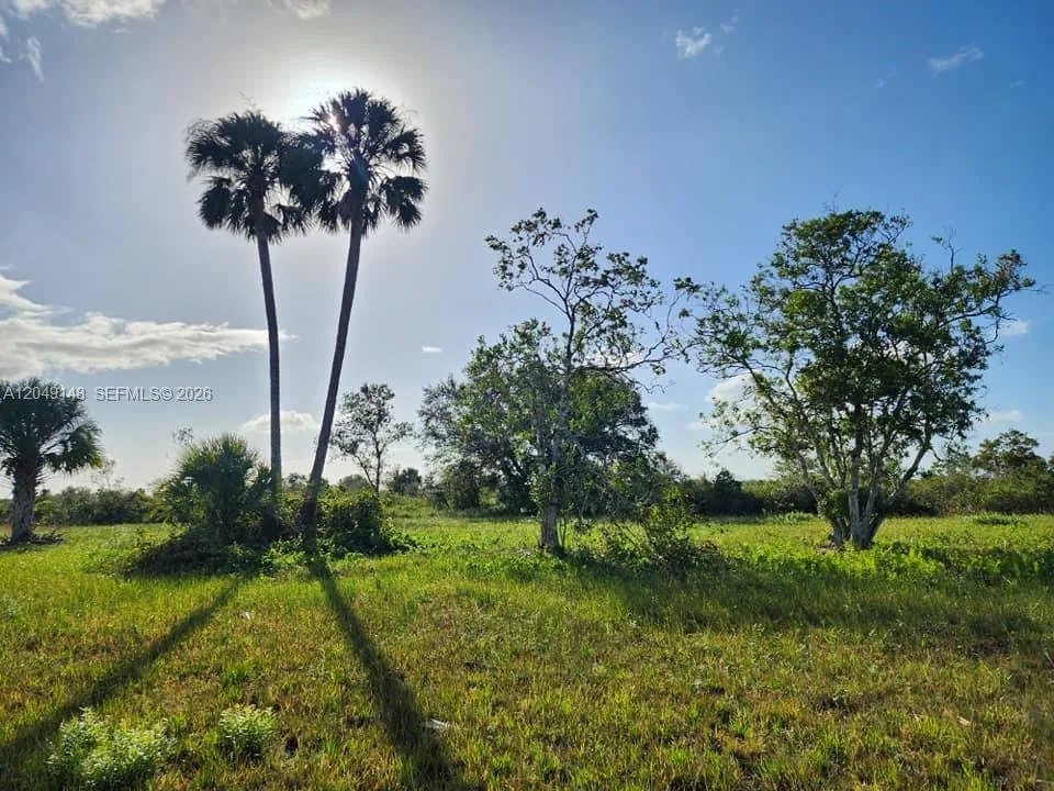 18717 NW 258 st, Okeechobee, FL 34972 photo 9