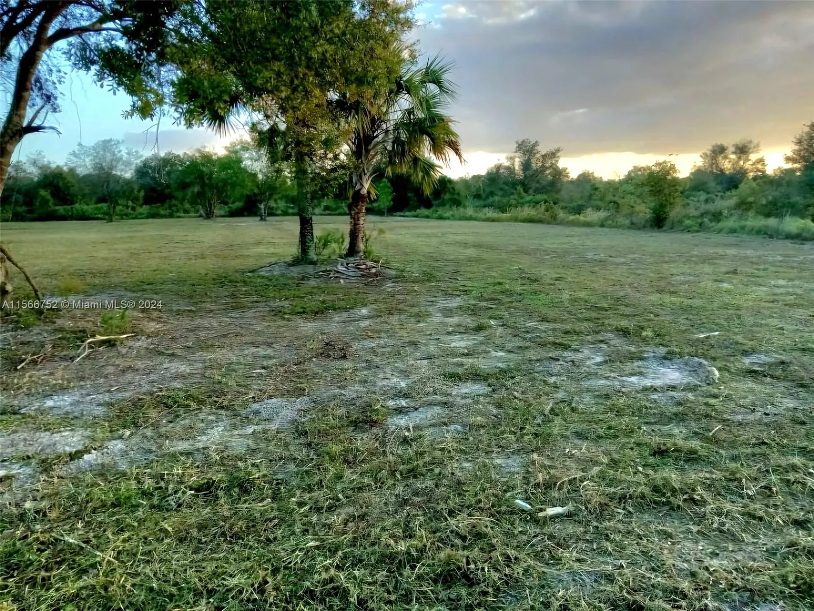17212 NW 288, Okeechobee, FL 34972 photo 2