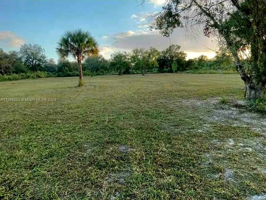 17212 NW 288, Okeechobee, FL 34972 photo 5