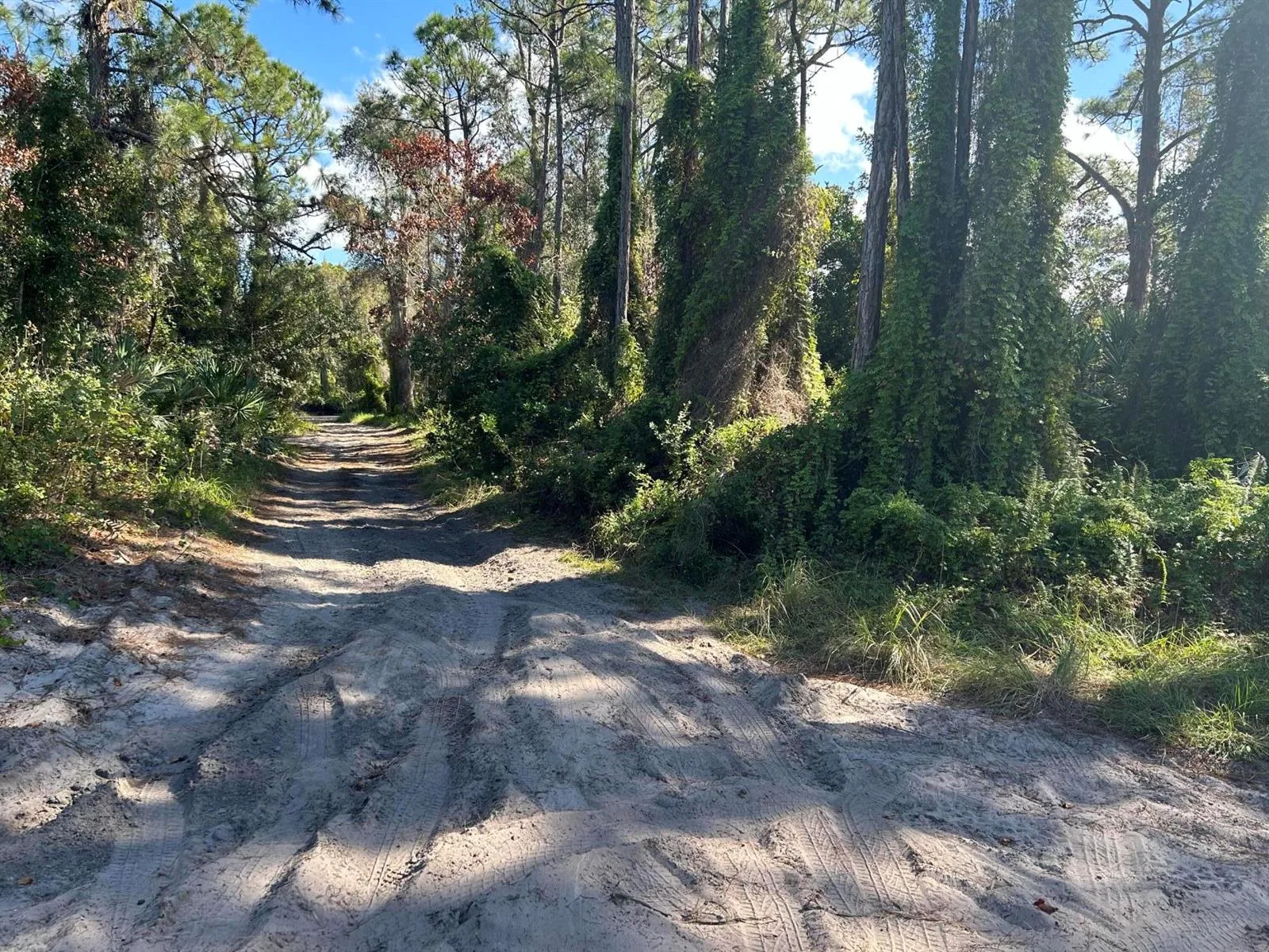 0 Slash Pine Trail, Fort Pierce, FL 34945 photo 2