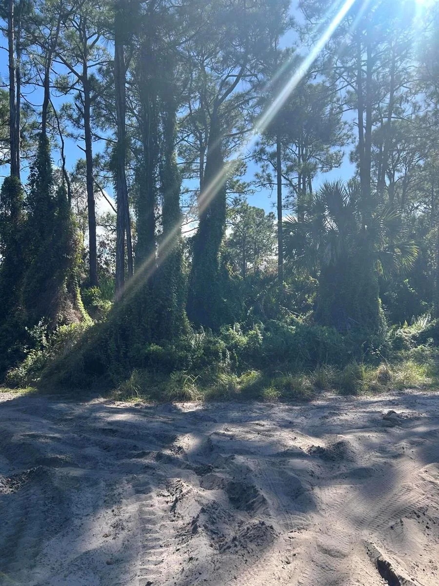 0 Slash Pine Trail, Fort Pierce, FL 34945 photo 3