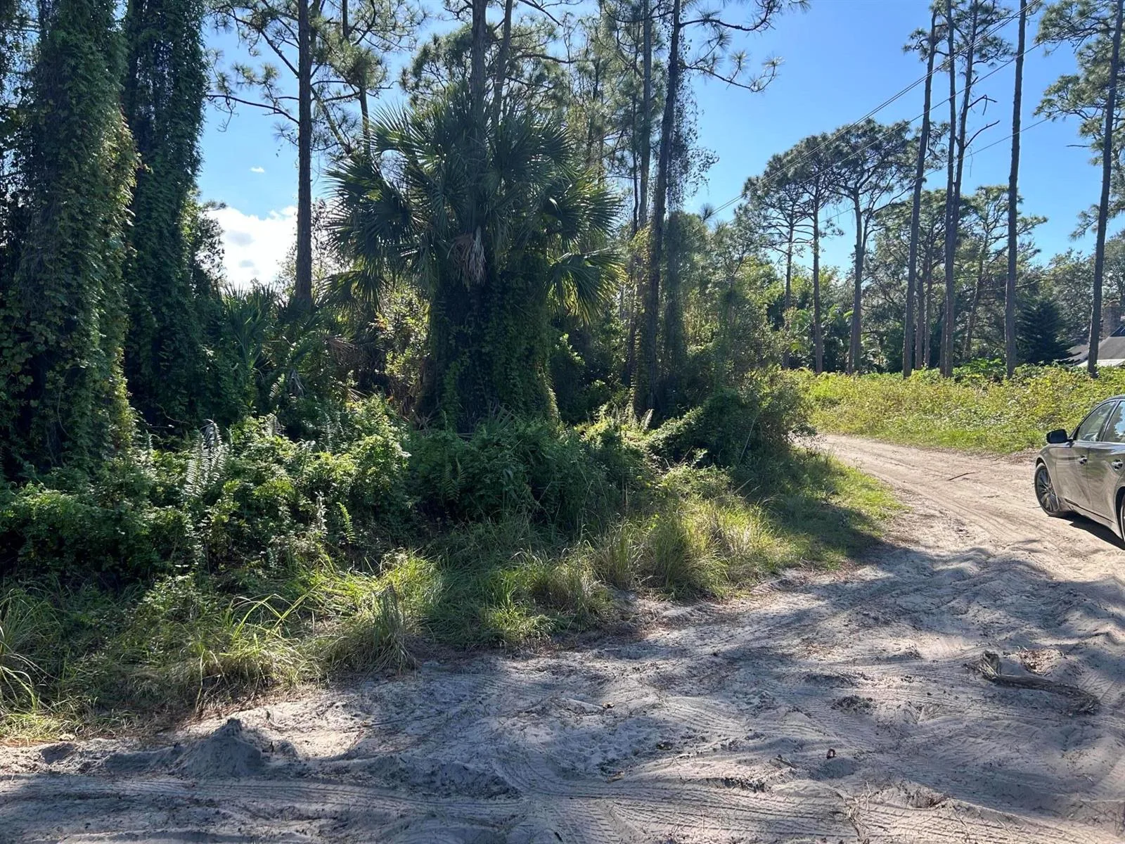 0 Slash Pine Trail, Fort Pierce, FL 34945 photo 4