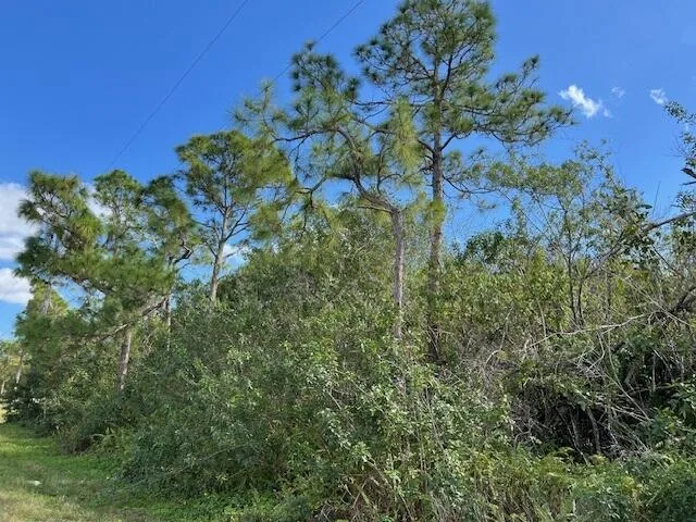 ''17992'' 94th Street N, Loxahatchee, FL 33470 — zdjęcie 4