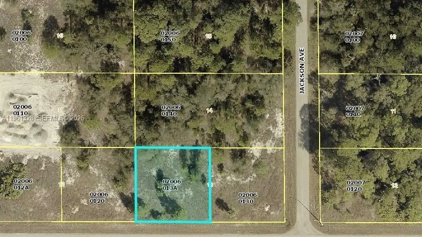 2805 E 16 St, Lehigh Acres, FL 33972 photo 2